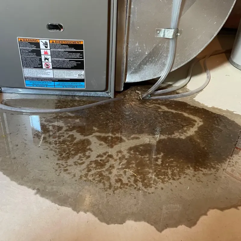 Appliance Leak Cleanup in Venango County, PA